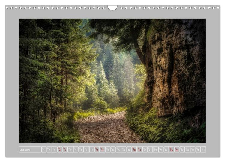 Produktbild: Wald im Licht (Wandkalender 2026 DIN A3 quer), CALVENDO Monatskalender