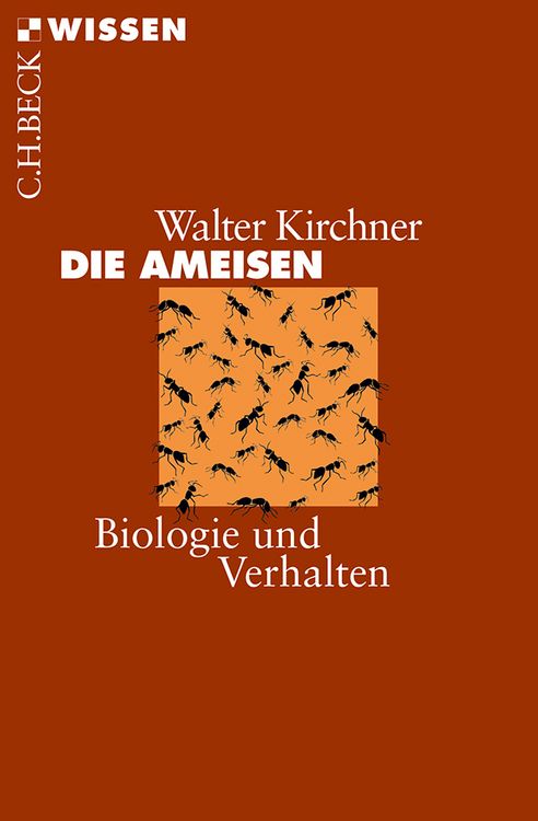 Produktbild: Die Ameisen