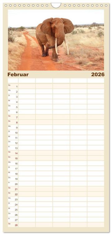 Produktbild: Familienplaner 2026 - Kenias wilde Elefanten mit 5 Spalten (Wandkalender, 21 x 45 cm) CALVENDO