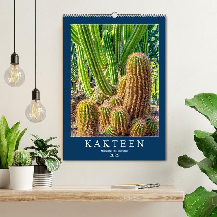 Produktbild: Kakteen - Stacheliges aus S&uuml;damerika (Wandkalender 2026 DIN A2 hoch), CALVENDO Monatskalender