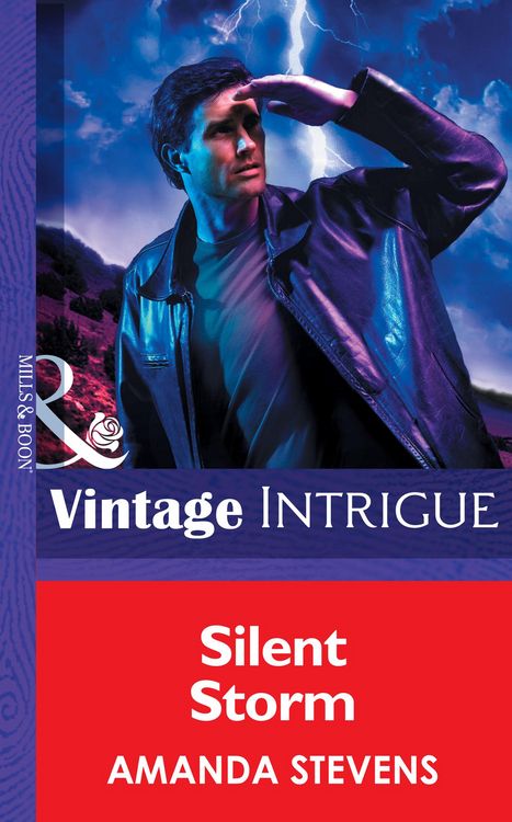 Produktbild: Silent Storm