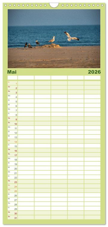 Produktbild: Familienplaner 2026 - Traumziel D&auml;nemark mit 5 Spalten (Wandkalender, 21 x 45 cm) CALVENDO