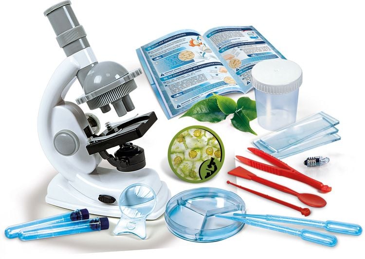 Produktbild: Natur unter dem Mikroskop (Experimentierkasten)