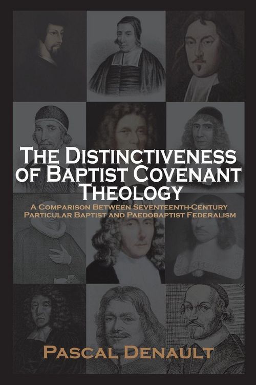 Produktbild: The Distinctiveness of Baptist Covenant Theology