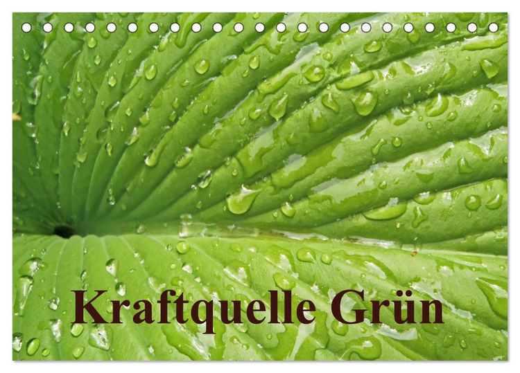Produktbild: Kraftquelle Gr&uuml;n (Tischkalender 2026 DIN A5 quer), CALVENDO Monatskalender
