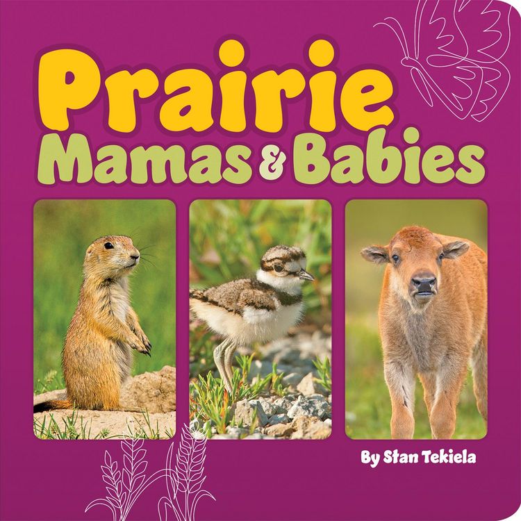Produktbild: Prairie Mamas & Babies