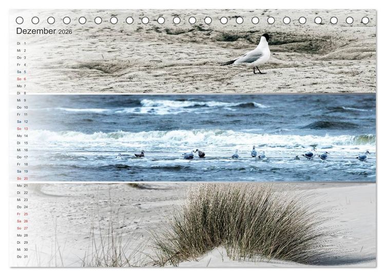 Produktbild: K&uuml;stenstreifen an der Nordsee (Tischkalender 2026 DIN A5 quer), CALVENDO Monatskalender