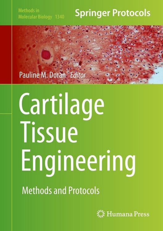 Produktbild: Cartilage Tissue Engineering