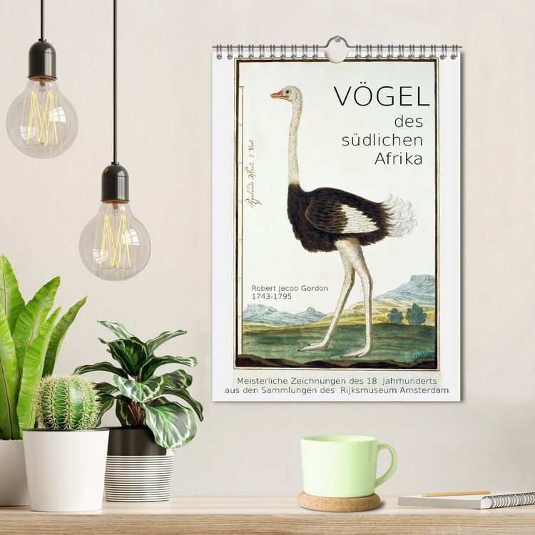 Produktbild: V&ouml;gel des s&uuml;dlichen Afrika (Wandkalender 2026 DIN A4 hoch), CALVENDO Monatskalender