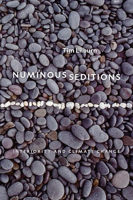 Produktbild: Numinous Seditions
