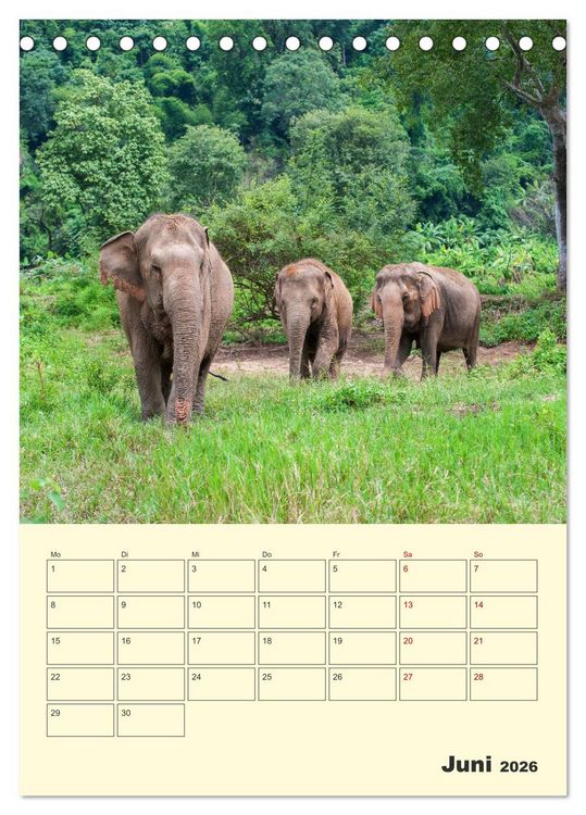 Produktbild: ELEFANTEN - Asiens graue Riesen (Tischkalender 2026 DIN A5 hoch), CALVENDO Monatskalender