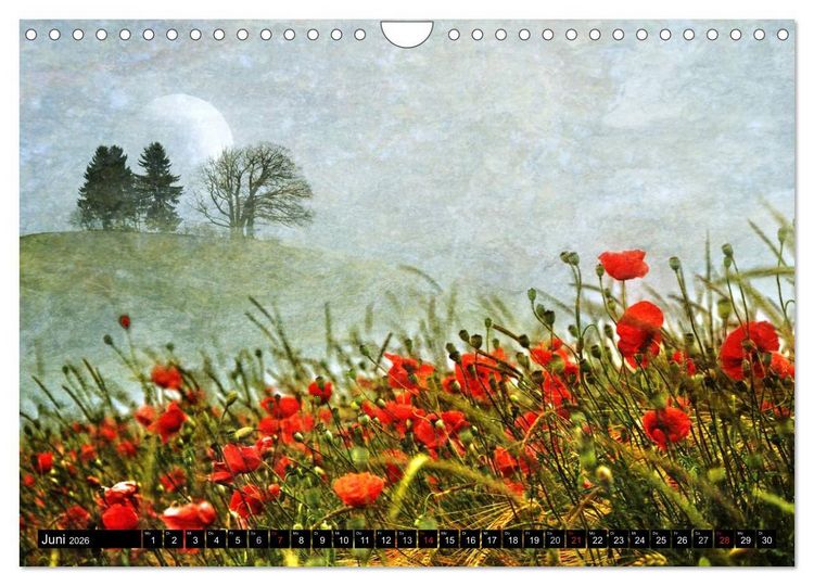 Produktbild: Traumwelten (Wandkalender 2026 DIN A4 quer), CALVENDO Monatskalender