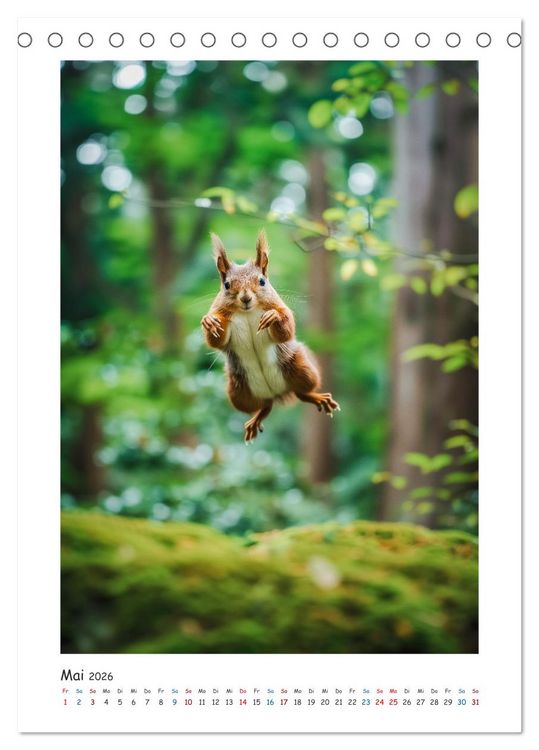 Produktbild: Lustige kleine Eichh&ouml;rnchen (Tischkalender 2026 DIN A5 hoch), CALVENDO Monatskalender