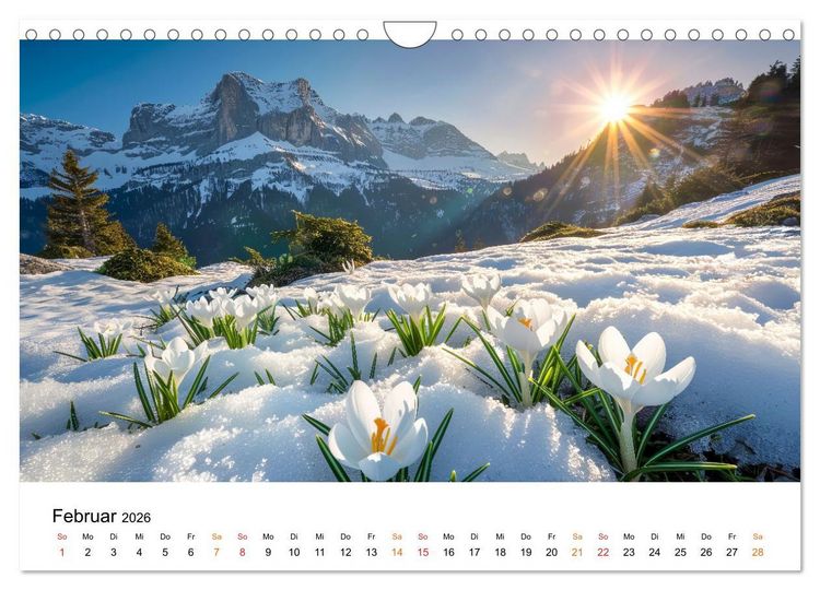 Produktbild: Natur im Jahr (Wandkalender 2026 DIN A4 quer), CALVENDO Monatskalender