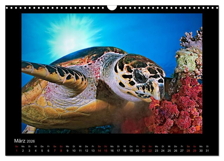 Produktbild: Ocean-Art / CH-Version (Wandkalender 2026 DIN A3 quer), CALVENDO Monatskalender