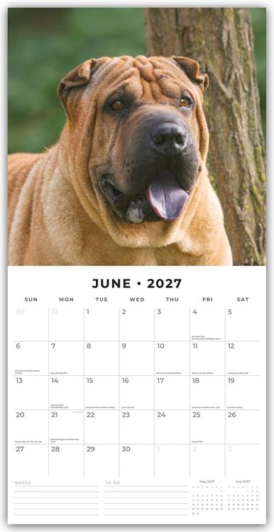 Produktbild: Shar-Pei &ndash; Chinesischer Faltenhund 2027 &ndash; 16-Monatskalender