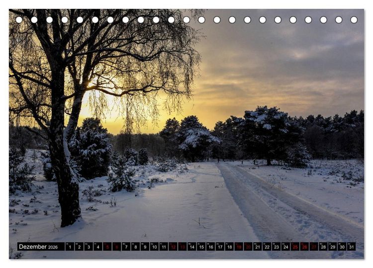 Produktbild: L&uuml;neburger Heide (Tischkalender 2026 DIN A5 quer), CALVENDO Monatskalender
