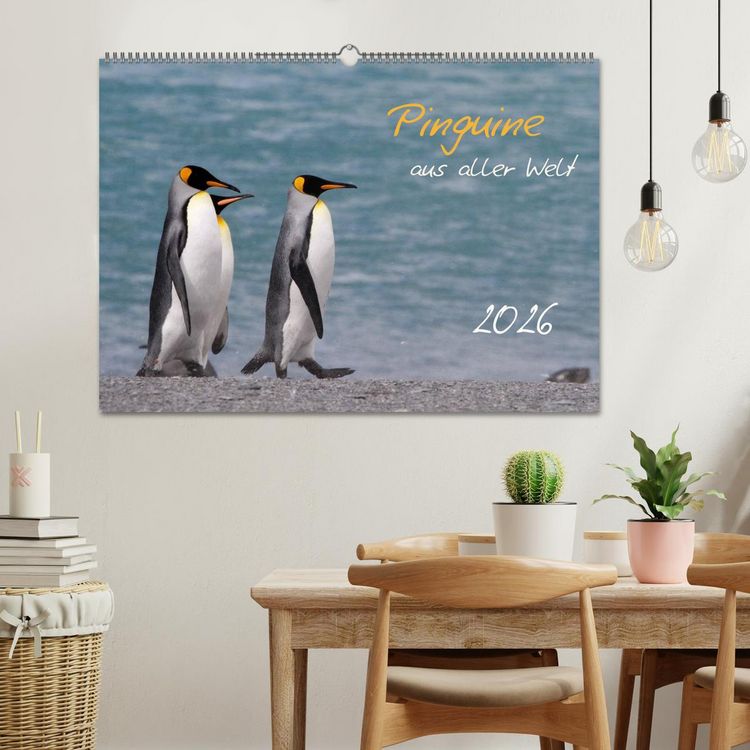 Produktbild: Pinguine aus aller Welt (Wandkalender 2026 DIN A2 quer), CALVENDO Monatskalender