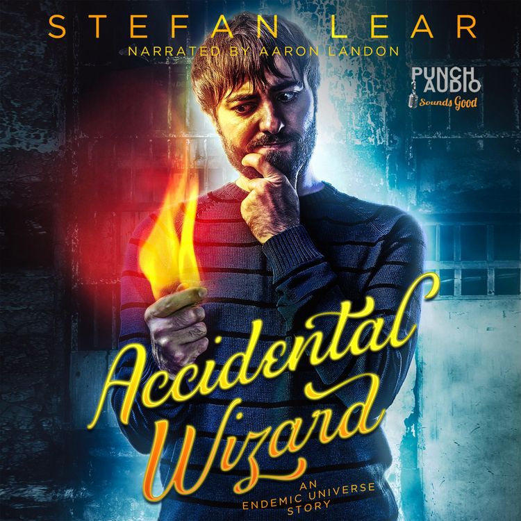 Produktbild: Accidental Wizard