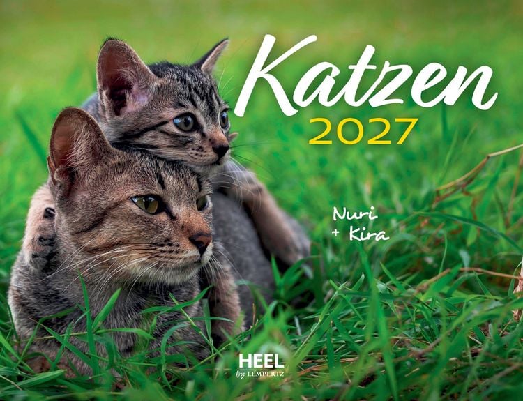 Produktbild: Katzen 2027 Eintragkalender