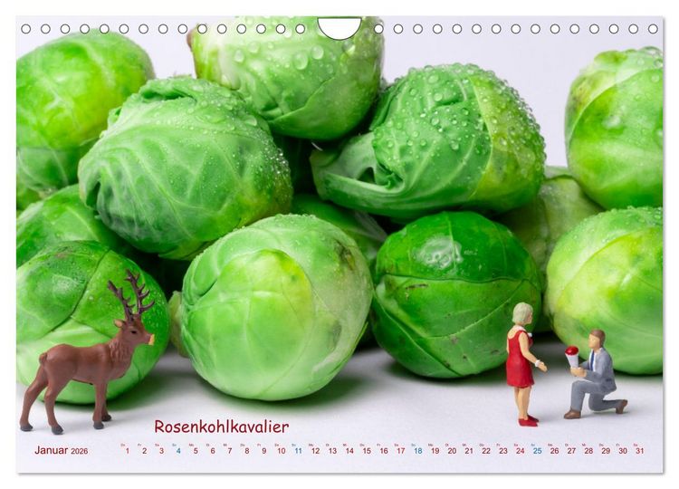 Produktbild: B&uuml;stenhalter ... und andere Mini-Welten (Wandkalender 2026 DIN A4 quer), CALVENDO Monatskalender