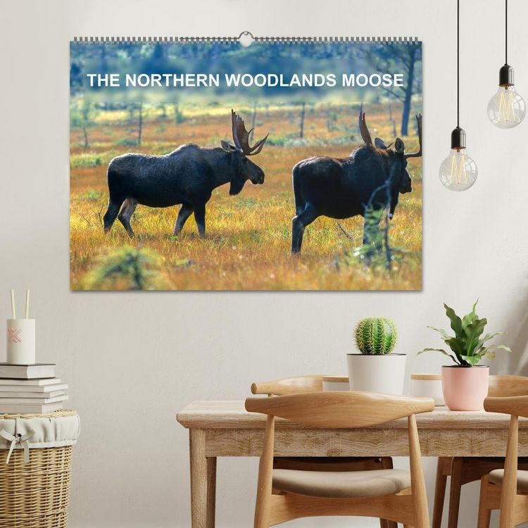 Produktbild: THE NORTHERN WOODLANDS MOOSE (Wall Calendar 2026 DIN A2 landscape), CALVENDO 12 Month Wall Calendar