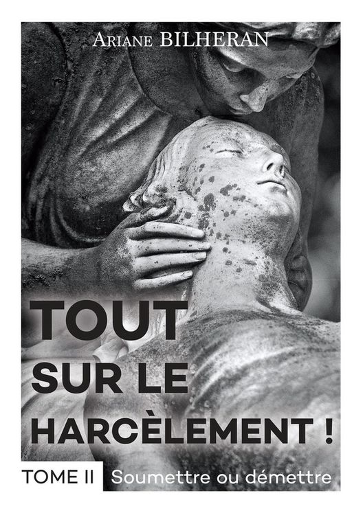 Produktbild: Tout sur le harcelement tome ii