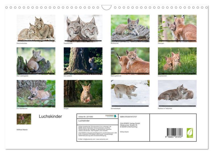 Produktbild: Luchskinder (Wandkalender 2026 DIN A3 quer), CALVENDO Monatskalender