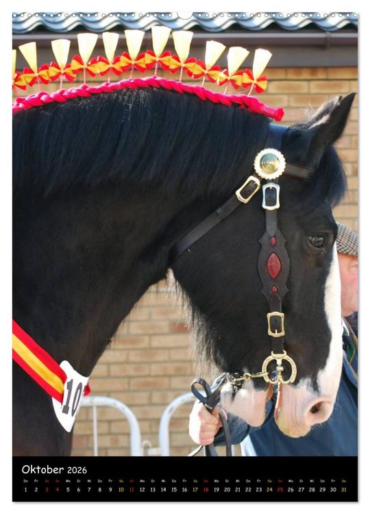 Produktbild: Shire Horse - Geschm&uuml;ckte Riesen (Wandkalender 2026 DIN A2 hoch), CALVENDO Monatskalender