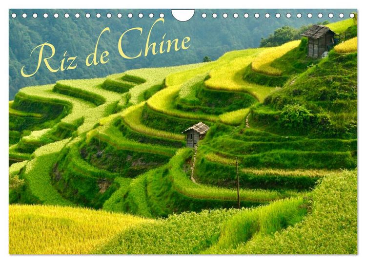Produktbild: Riz de Chine (Calendrier mural 2026 DIN A4 vertical), CALVENDO calendrier mensuel