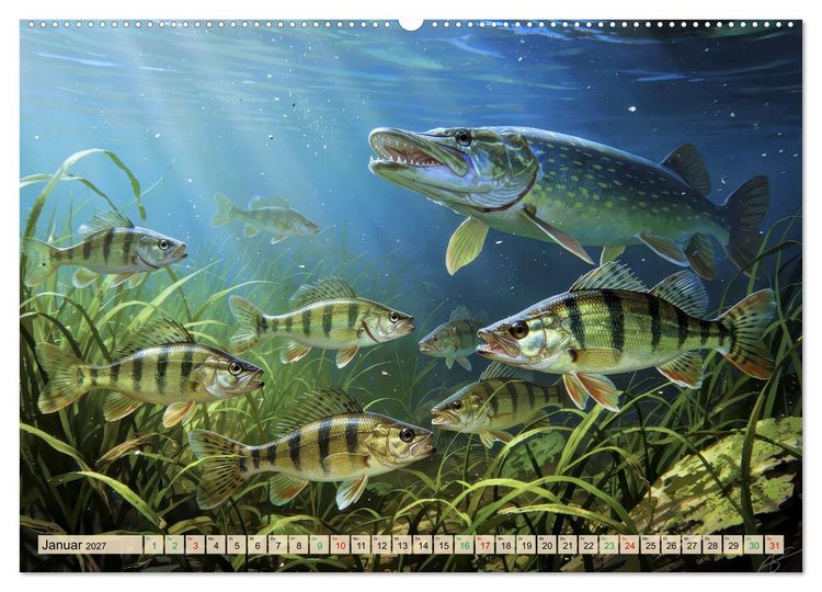 Produktbild: Barsche im See (Wandkalender 2027 DIN A2 quer), CALVENDO Monatskalender