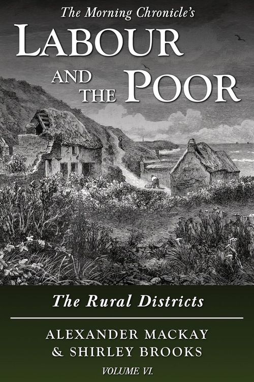 Produktbild: Labour and the Poor Volume VI