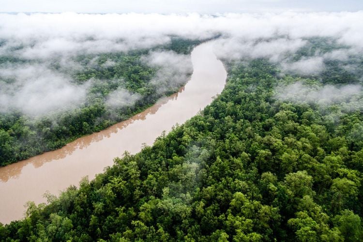 Produktbild: Das Wasser der Erde