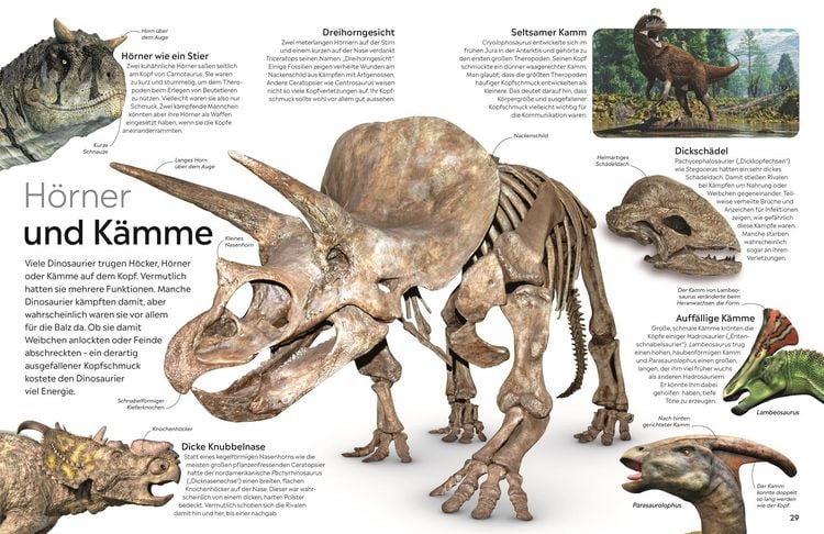 Produktbild: memo Wissen. Dinosaurier