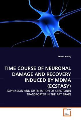 Produktbild: Kirilly, E: Time Course Of Neuronal Damage and Recovery Indu