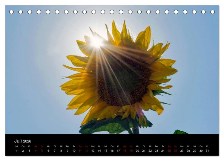 Produktbild: Blumen der Sonne (Tischkalender 2026 DIN A5 quer), CALVENDO Monatskalender