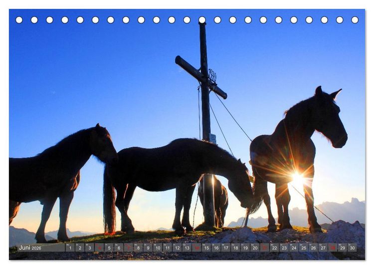Produktbild: Gipfelkreuze im Sonnenlicht (Tischkalender 2026 DIN A5 quer), CALVENDO Monatskalender