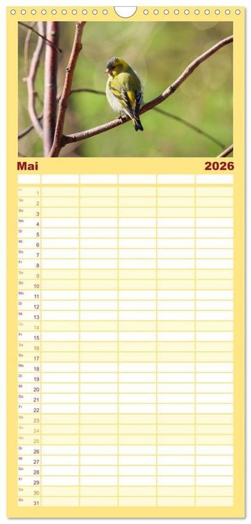 Produktbild: Familienplaner 2026 - Erlenzeisige mit 5 Spalten (Wandkalender, 21 x 45 cm) CALVENDO