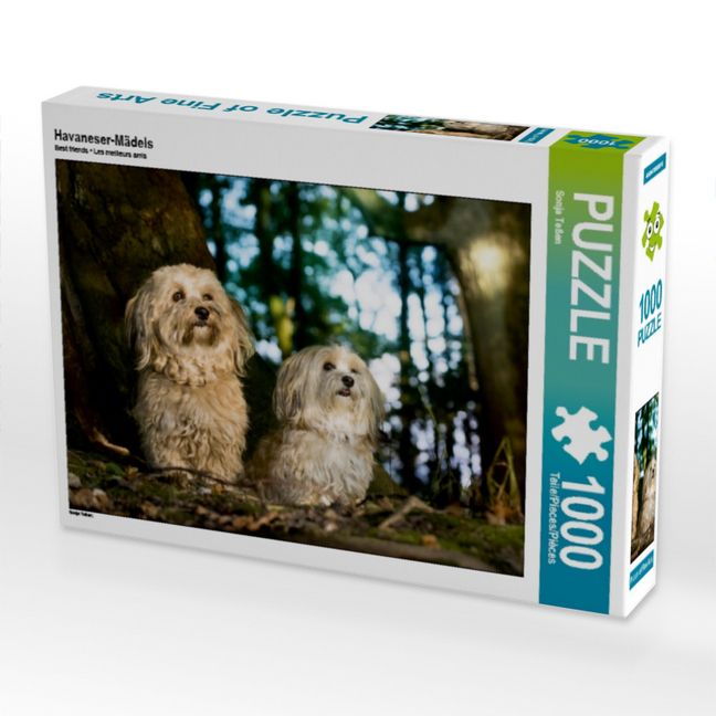 Produktbild: CALVENDO Puzzle Havaneser-M&auml;dels | 1000 Teile Lege-Gr&ouml;&szlig;e 64x48cm Foto-Puzzle f&uuml;r gl&uuml;ckliche Stunden