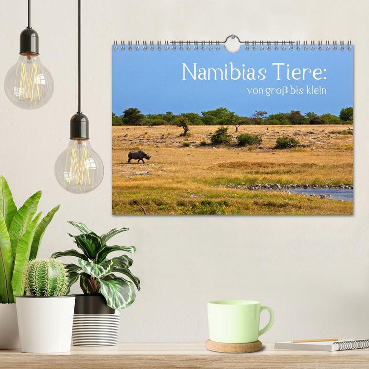 Produktbild: Namibias Tiere: von gro&szlig; bis klein (Wandkalender 2026 DIN A4 quer), CALVENDO Monatskalender