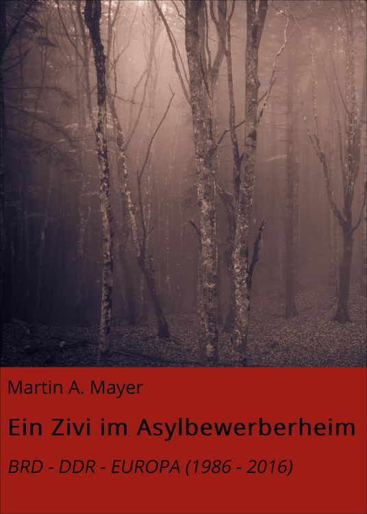 Produktbild: Ein Zivi im Asylbewerberheim