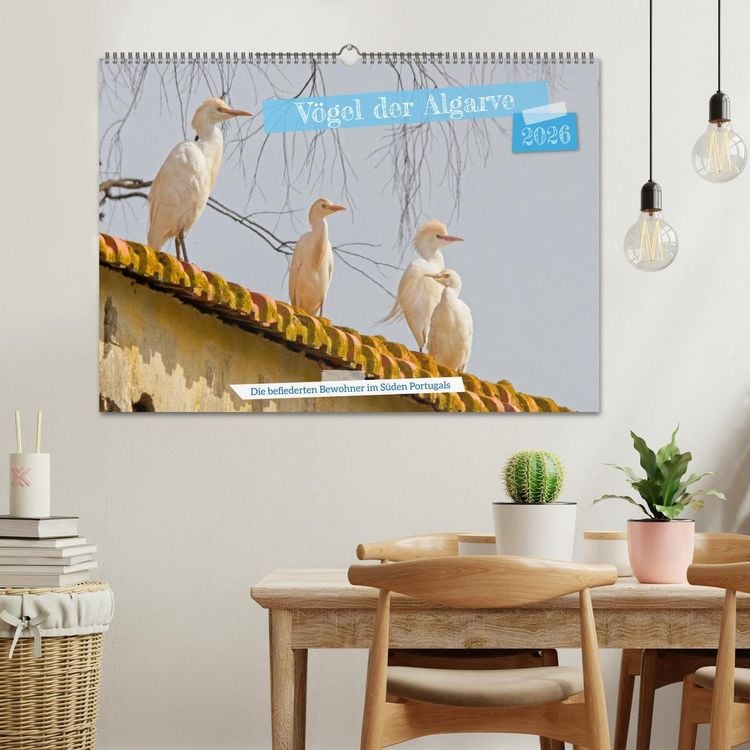 Produktbild: V&ouml;gel der Algarve (Wandkalender 2026 DIN A2 quer), CALVENDO Monatskalender
