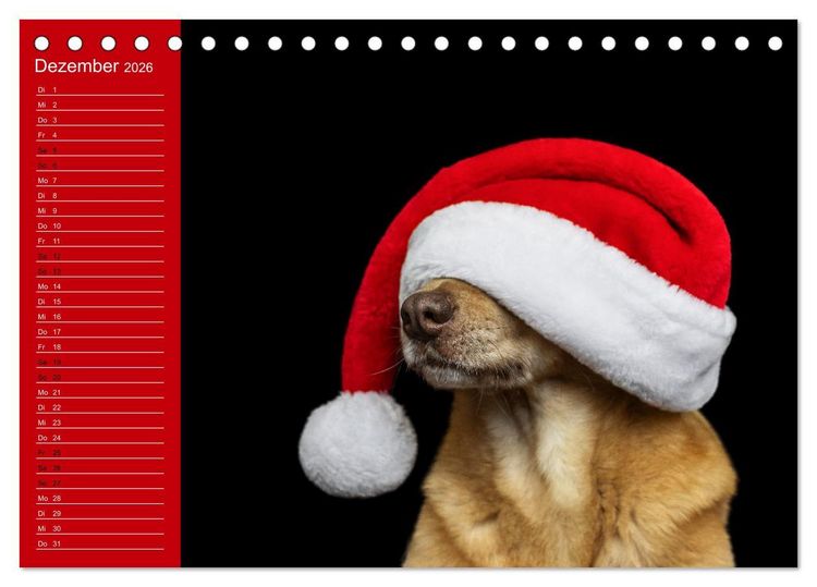 Produktbild: Hunde im Fokus (Tischkalender 2026 DIN A5 quer), CALVENDO Monatskalender