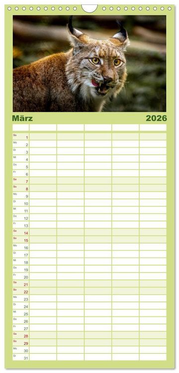 Produktbild: Familienplaner 2026 - Der Luchs - Begegnungen mit einer Raubkatze mit 5 Spalten (Wandkalender, 21 x 45 cm) CALVENDO