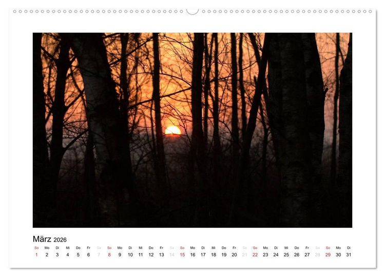 Produktbild: Winter im Teufelsmoor (Wandkalender 2026 DIN A2 quer), CALVENDO Monatskalender