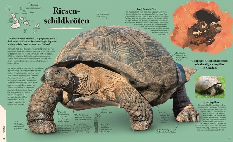 Produktbild: Galapagos
