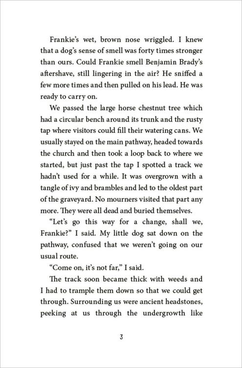 Produktbild: The Magpie Riddle: a Goldfish Boy Mystery