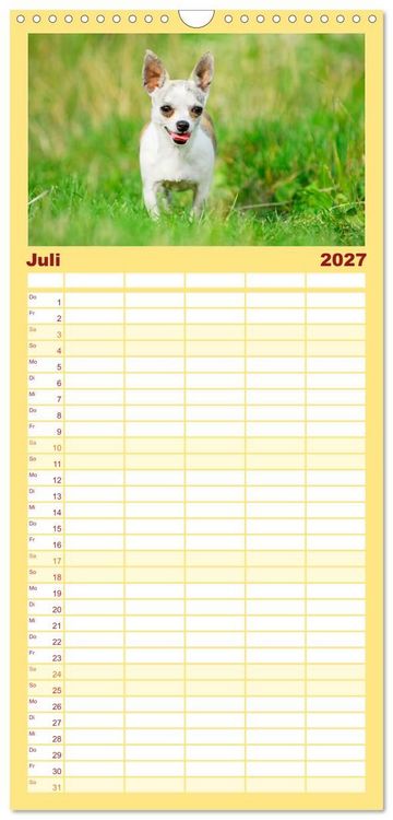 Produktbild: Familienplaner 2027 - Enegieb&uuml;ndel Chihuahua - Temperament auf vier Pfoten mit 5 Spalten (Wandkalender, 21 x 45 cm) CALVENDO