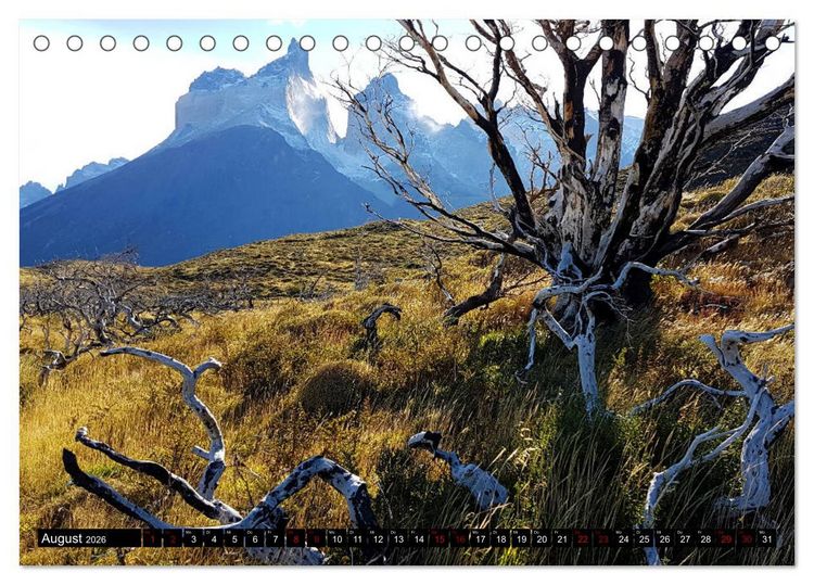 Produktbild: Patagonien - Parques Torres del Paine und Los Glaciares (Tischkalender 2026 DIN A5 quer), CALVENDO Monatskalender