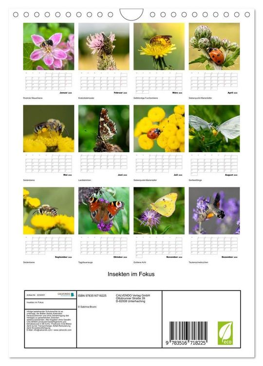 Produktbild: Insekten im Fokus (Wandkalender 2026 DIN A4 hoch), CALVENDO Monatskalender